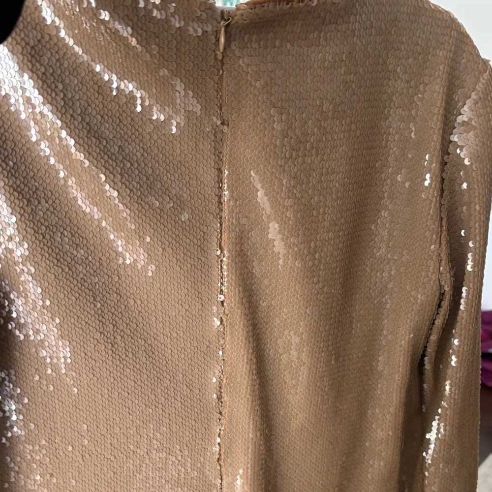 Banana Republic Elegant Long Sleeve Dress in Deep Brown - Picture 5 of 5